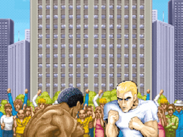 Street Fighter Fighting GIF by PERFECTL00P