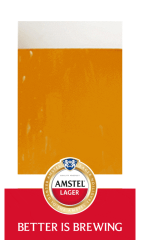 Amstel_Heineken GIF