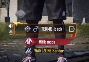Termo GIF