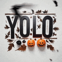 You Only Live Once Yolo GIF by Petals Patch