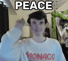 Peace Out Smile GIF