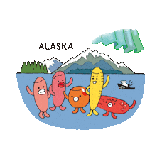 Roe Ikura Sticker by Alaska Seafood
