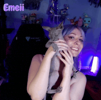 Cat Twitch GIF
