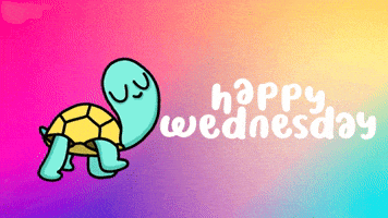 Happy Wednesday GIF by Digital Pratik