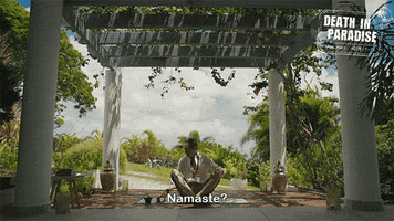 Mobile Phone Yoga GIF by Death In Paradise