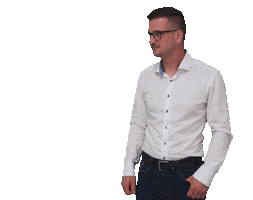 Viktor Janovsky Sticker