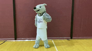 Wolf Pack Yes GIF by Cardinal Stritch University