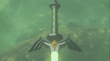 Nintendo Switch Link GIF