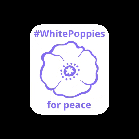 PeacePledgeUnion peace remembrance pacifist remembrance day GIF