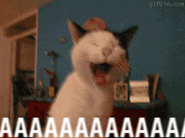 Game Of Thrones GIF by Digg