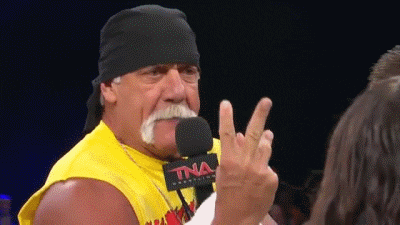 world wrestling entertainment