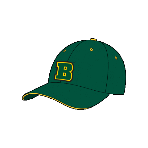 Golden Eagle Hat Sticker by Brockport