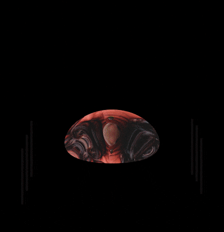 Singers Getmad GIF by MadHouse