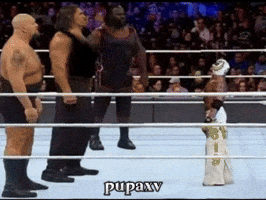 The Undertaker Wwe GIF
