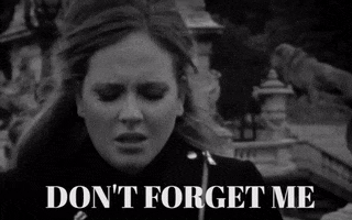 Dont Forget Me Someone Like You GIF by Adele