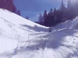Tele GIF
