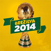 brazil 2014