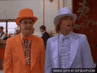 Dumb And Dumber Gif