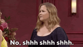 Amy Schumer No GIF by Saturday Night Live