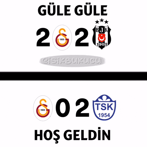 Galatasaray Ts GIF