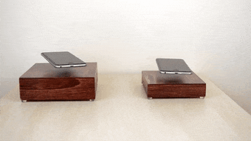 founder  GIF