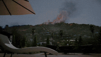 Horror Game Survival GIF