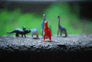 dinosaur wiggle GIF by Photojojo