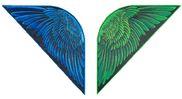 Wings Snowboarding Sticker by Snowbird