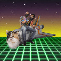 you are awesome gif cat