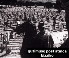 Gutimusq GIF