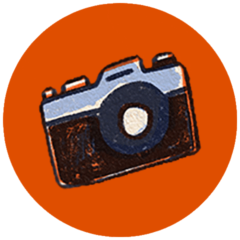 Who's Flying the Plane? Sticker