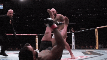 Ufc Sean GIF
