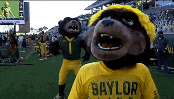 Baylor University Hype GIF by Baylor Athletics