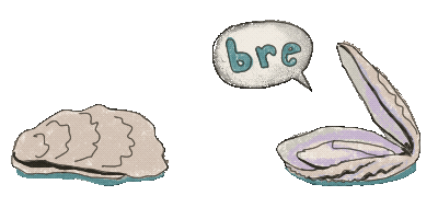 Oyster Sticker