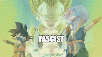 Dragon Ball Z gif. Goten with the label of "Viewer" and Trunks with the label of the Fox News logo rhythmically move into frame and point to one another before light bursts from their connection. The camera then pans up to reveal a triumphant-looking Gotenks, hands on hips, with the label "Fascist."