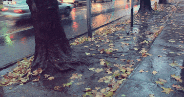 fall raining GIF