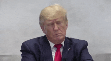 Tired Donald Trump GIF by GIPHY News