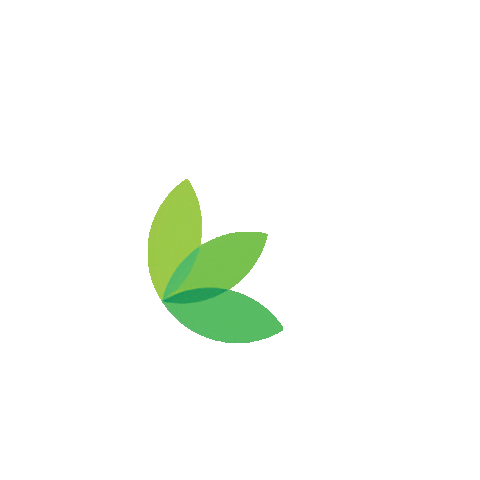 Prowinblume Sticker by proWIN nomis