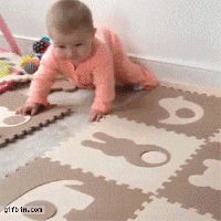 Dog Baby GIF - Find & Share on GIPHY