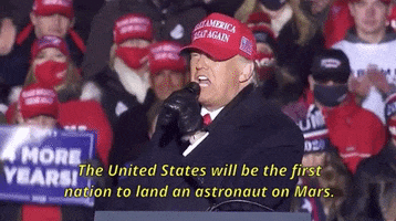 Donald Trump GIF by Election 2020