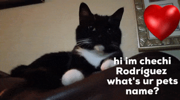 Hi Im Chechi Rodríguez Whats Ur Pets Name GIF