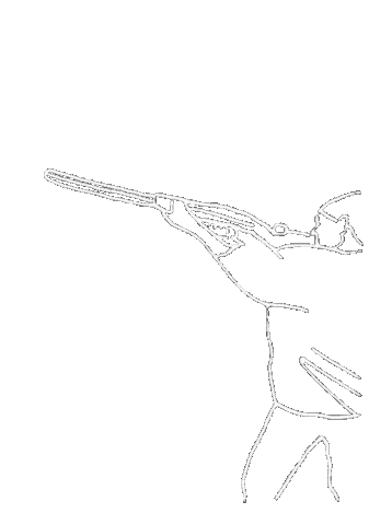 Festival Clo Sticker