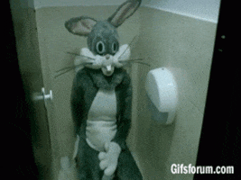 bunny asks GIF