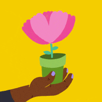 Flower Pot Thank You GIF by Hello All