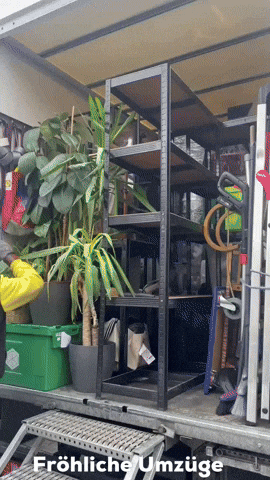 Umzugsunternehmen GIF by Froehliche Umzuege