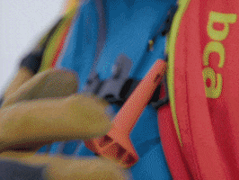 Backcountry Access GIF