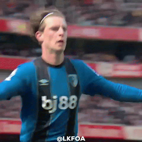 Premier League Football GIF