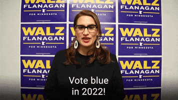 Voting Democratic Party GIF by The Democrats