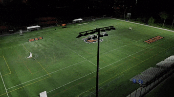 National Champions GIF by Rochester Institute of Technology