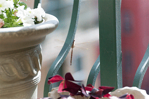 and i cited the original posts for all of them